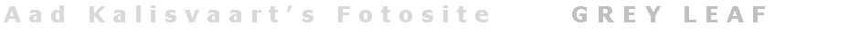 Tekstvak: A a d   K a l i s v a a r t   s   F o t o s i t e           G R E Y   L E A F