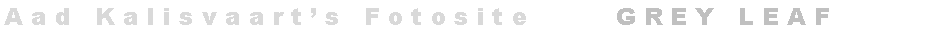 Tekstvak: A a d   K a l i s v a a r t   s   F o t o s i t e           G R E Y   L E A F