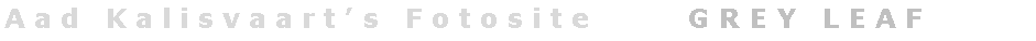 Tekstvak: A a d   K a l i s v a a r t   s   F o t o s i t e           G R E Y   L E A F