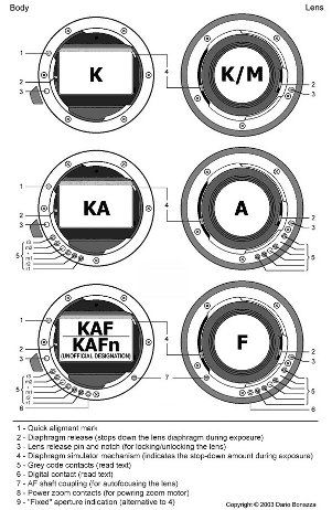 http://www.aohc.it/_old/images/k1e.gif